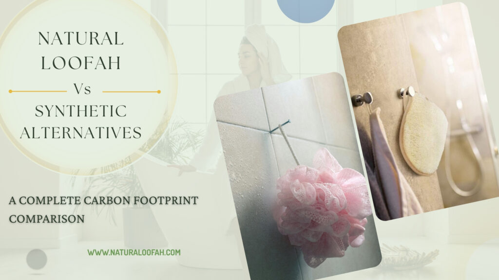Loofah Carbon Footprint Comparison 2026 Guide Naturaloofah
