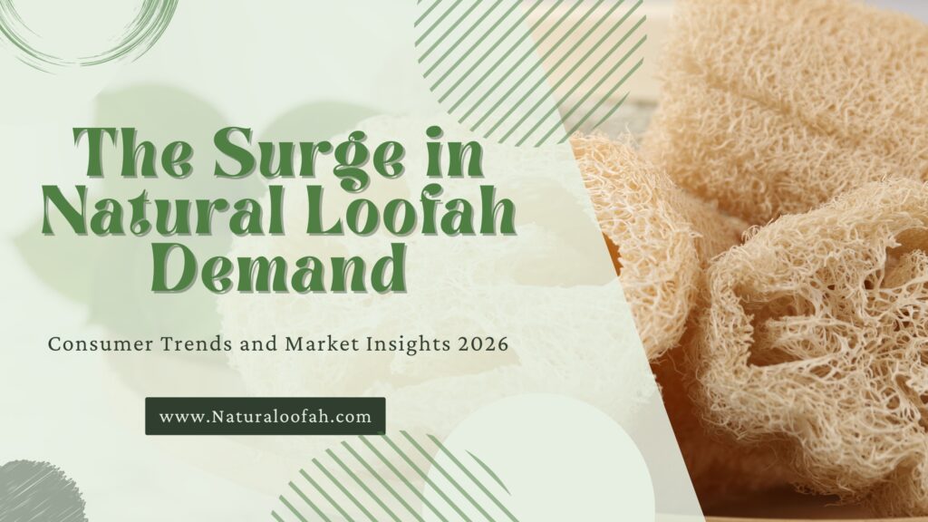 Natural Loofah Consumer Demand Trends 2026 Naturaloofah