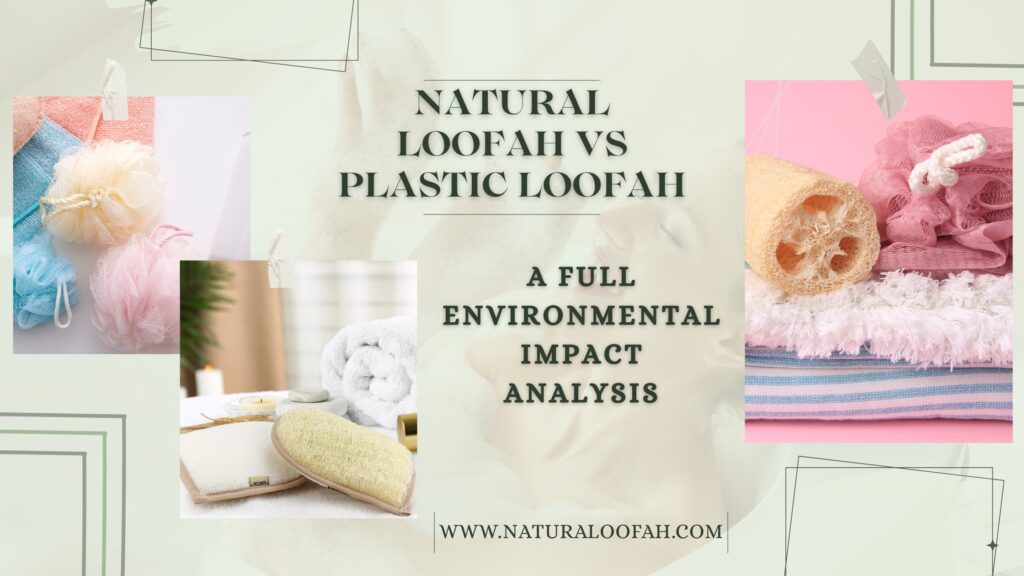 Natural vs Plastic Loofah Environment 2026 Guide Naturaloofah