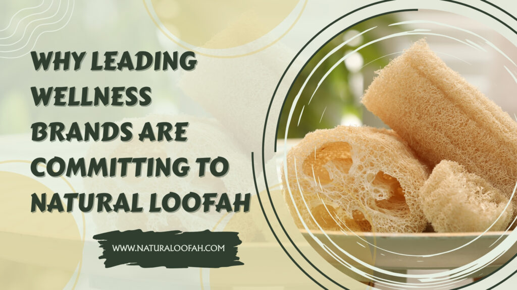 Wellness Brands Natural Loofah Trend 2026 Naturaloofah